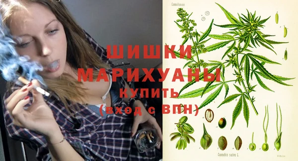 ГАЛЛЮЦИНОГЕННЫЕ ГРИБЫ Михайловск
