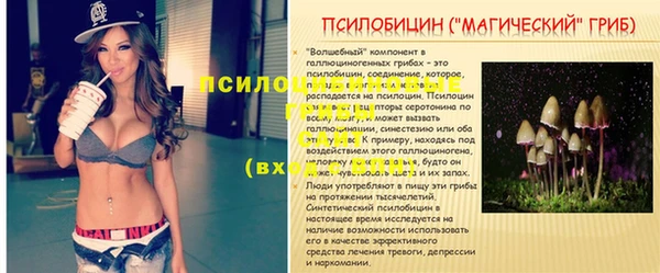 дживик Михайлов