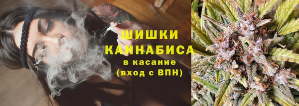 ГАЛЛЮЦИНОГЕННЫЕ ГРИБЫ Михайловск