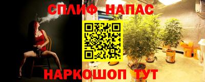 гидра Аргун