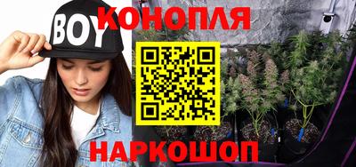 прущие грибы Апрелевка