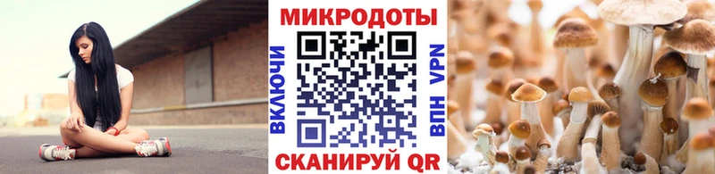 наркота  Ханты-Мансийск  Псилоцибиновые грибы Psilocybine cubensis 