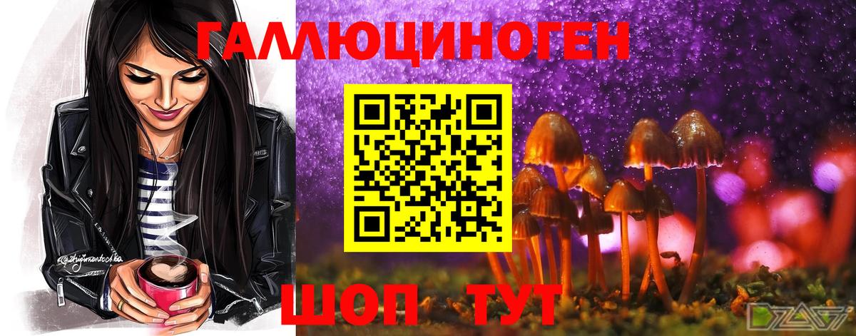 Галлюциногенные грибы GOLDEN TEACHER  Ханты-Мансийск  Псилоцибиновые грибы мухоморы 